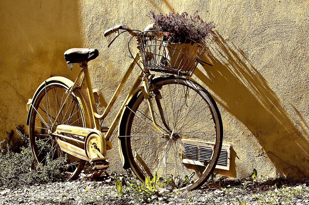bike, bicycle, wheels